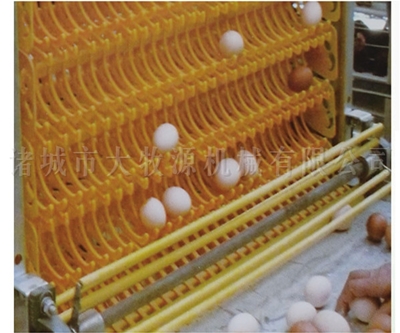 �Զ�������