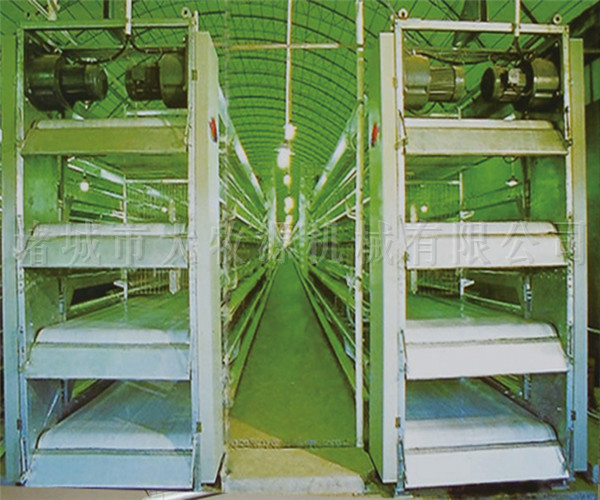 ���ʽ����