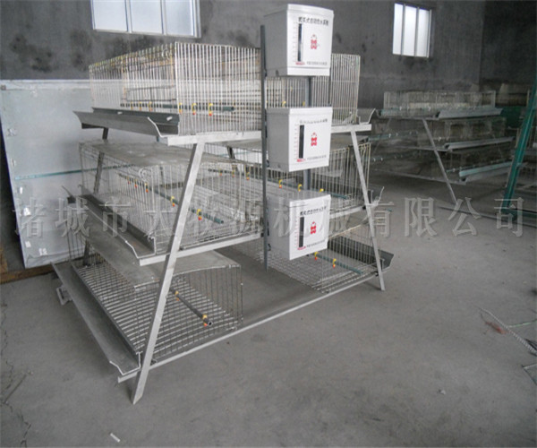 ���ּ���